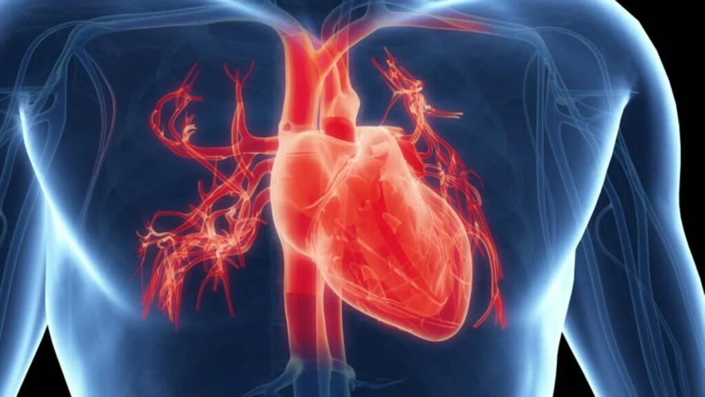 Bariatric surgery decreases risk of heart disease
